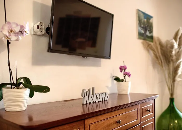 Adrijano 아파트 *